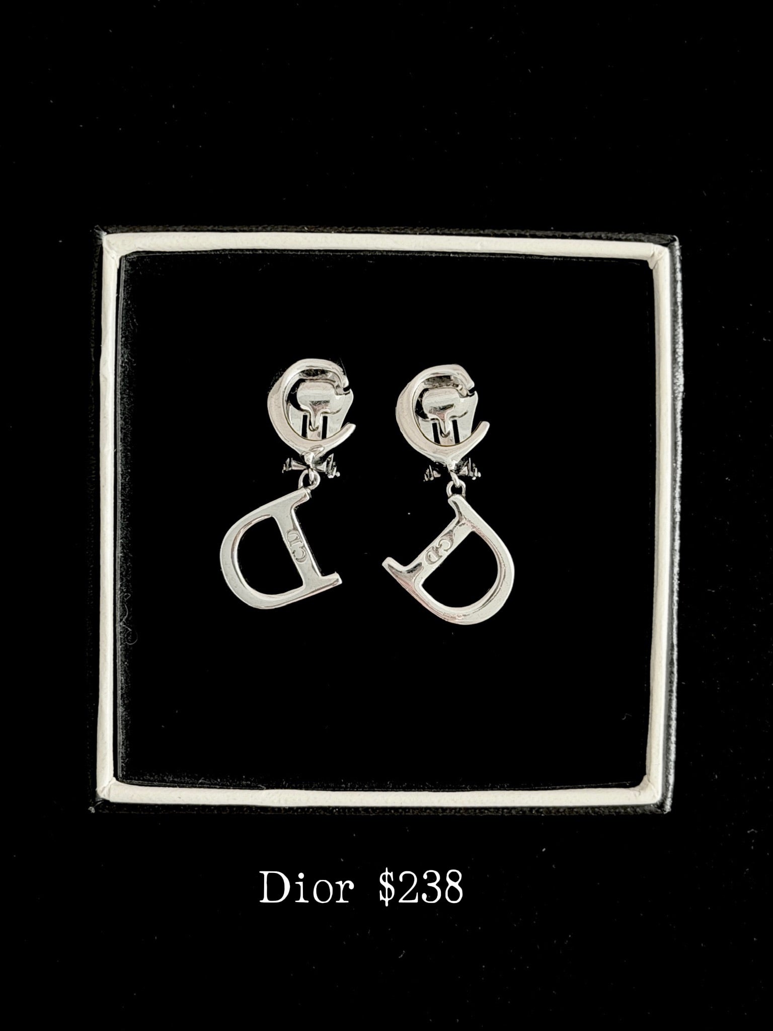 Dior Structured Icon - clip